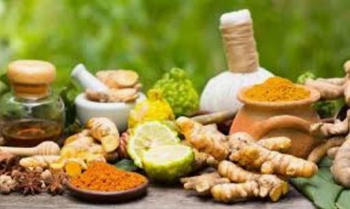 स्वास्थ्य सेवाओं को सुदृढ़ करती “AYUSH” चिकित्सा प्रणालियां