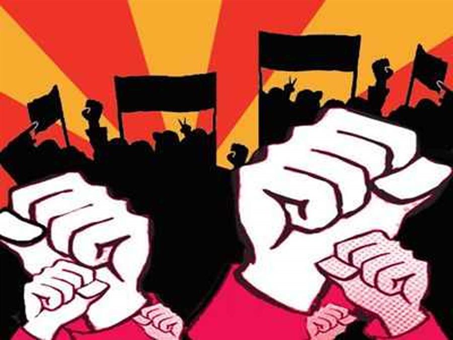 हिमाचल प्रदेश ट्रेजरी सर्विस ऑफिसर एसोसिएशन की नई कार्यकारिणी निर्वाचित
