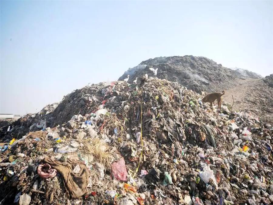 हिमाचल के शहरों में 1,90,796 टन अपशिष्ट कचरा, प्रदूषण नियंत्रण बोर्ड सख्‍त