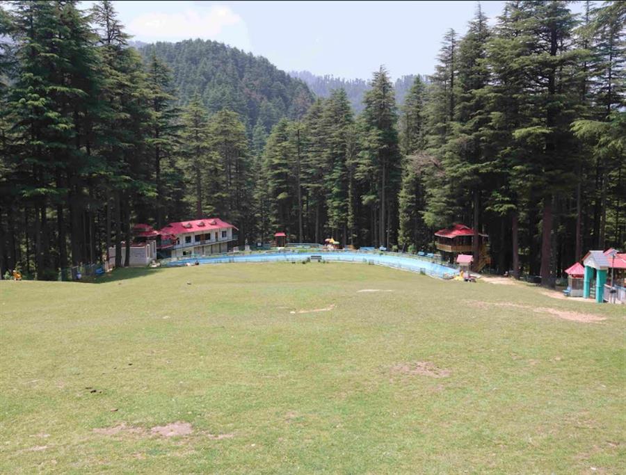 देवदार के घने जंगल में देवीदढ़ बना पर्यटकों के आकर्षण का केंद्र