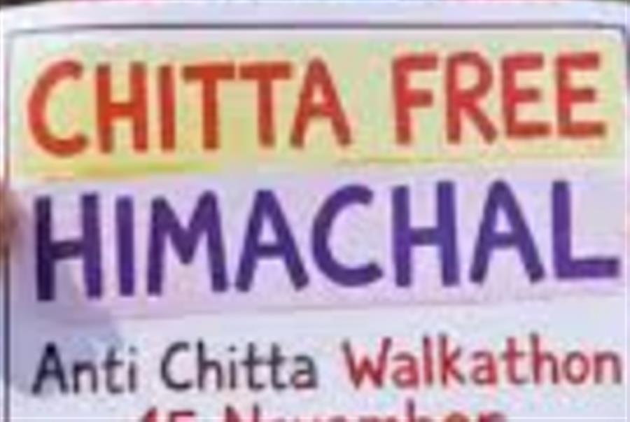 हिमाचल के एंटी चिट्टा मॉडल से सीखेंगे बाकी राज्य, एनसीबी ने विवरण मांगा